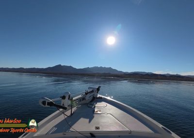 Lake Mohave Action 5