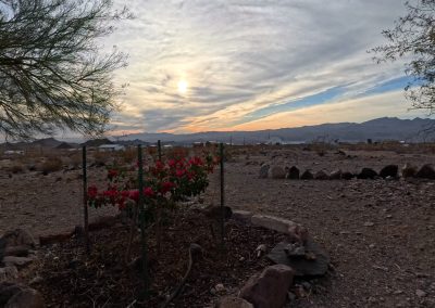 Evening Desert Walk AcePro 12-14-2024