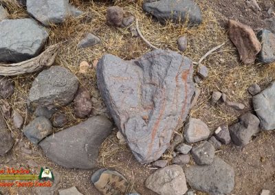 Black Mountain Canyon Hike Ace Pro 02-08-2025