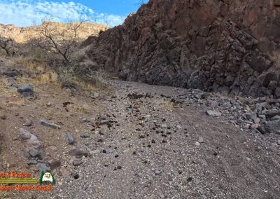 Black Mountain Canyon Hike Ace Pro 02-08-2025