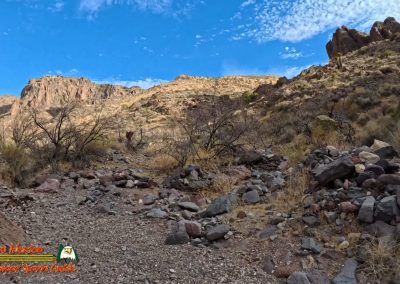 Black Mountain Canyon Hike Ace Pro 02-08-2025