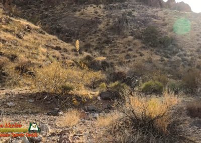 Black Mountain Canyon Hike Ace Pro 02-08-2025