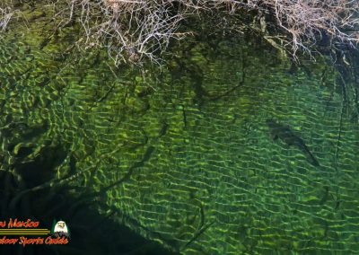 Carp Lake Mohave 03-04-2025 Ace Pro