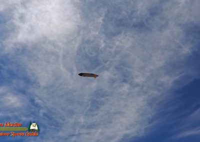 Lake Mohave Action Pro 2 Goodyear Blimp
