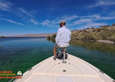 Lake Mohave Ace Pro 2