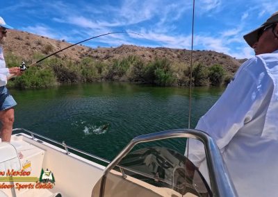 Lake Mohave Action Pro 2 Paulette Smallmouth Bass