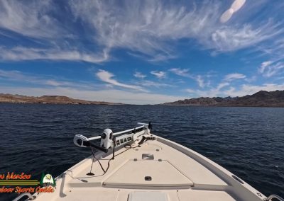 Lake Mohave Action Pro 2