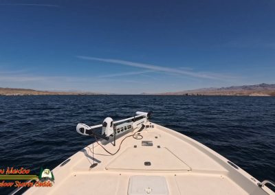 Mid April 2025 Smallmouth Bass Fishing Ace Pro 2