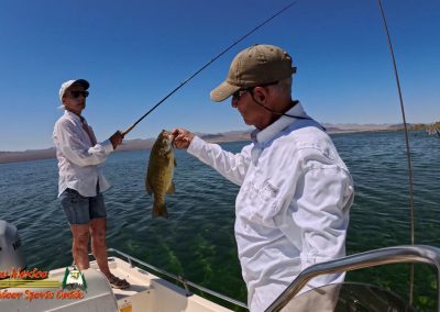 Mid April 2025 Smallmouth Bass Fishing Ace Pro 2