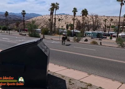 Mid April 2025 Smallmouth Bass Fishing Ace Pro 2 Burro