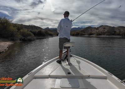 Lake Mohave 11-11-2025 Action 4