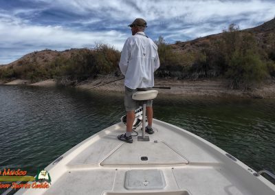 Lake Mohave 11-11-2025 Action 4